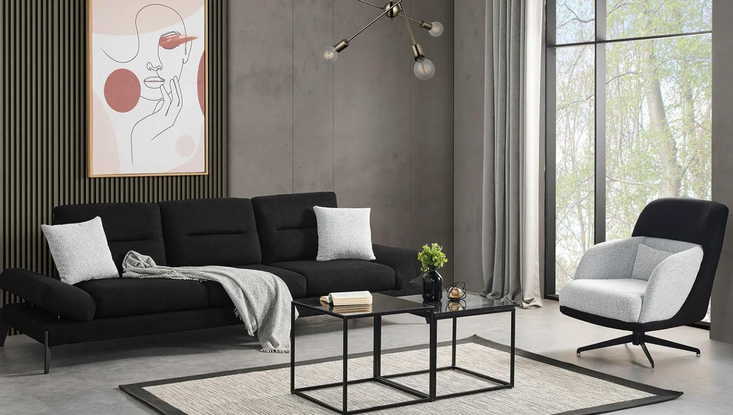 Lion Koltuk Takımı - Resim 3