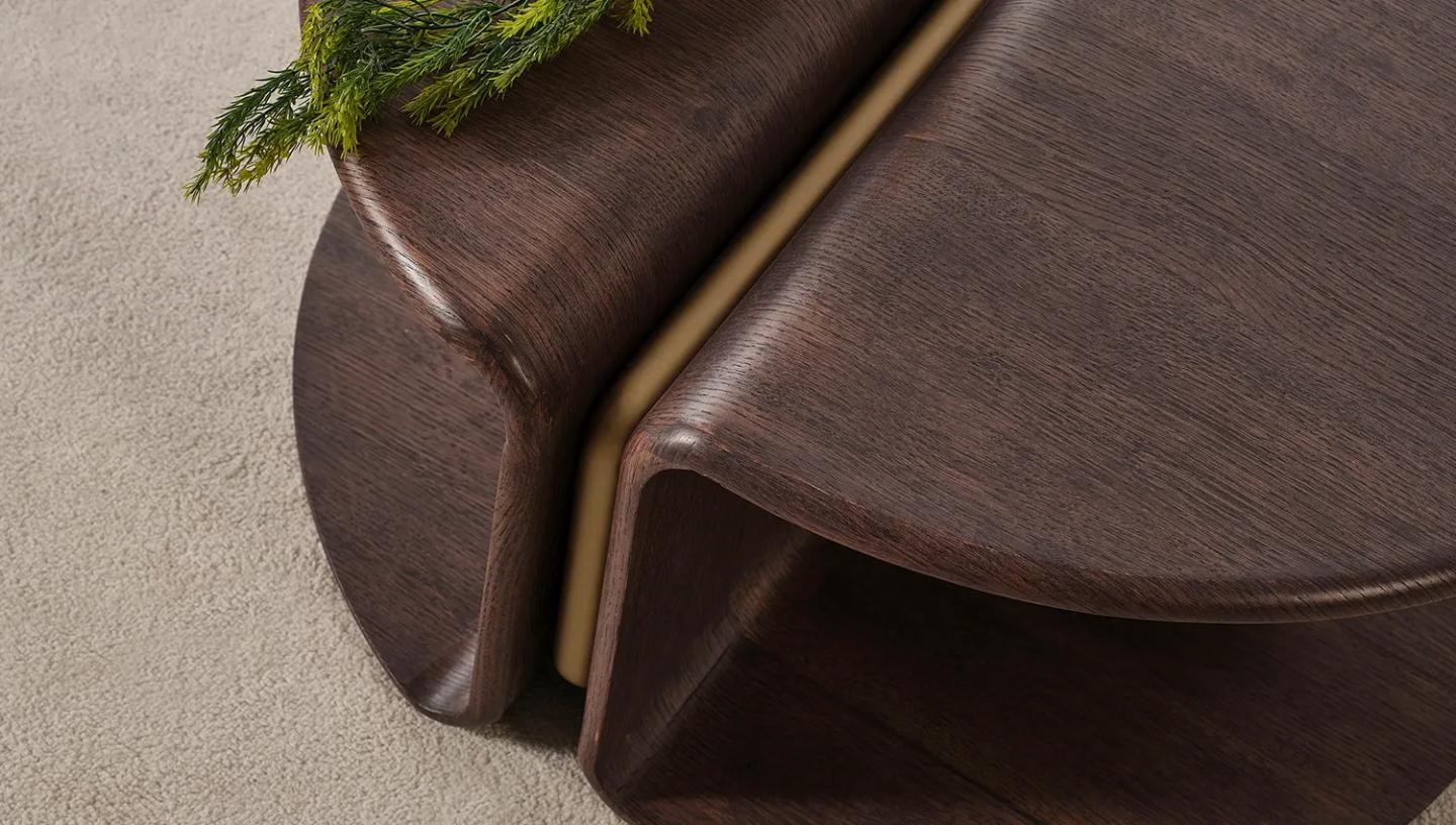 Mango Orta Sehpa - Resim 2