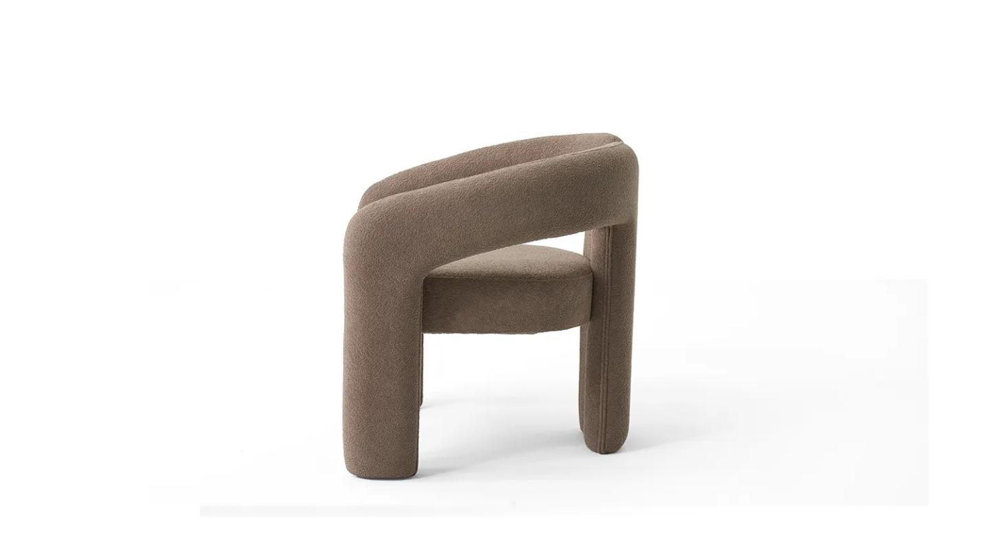 Dublin Berjer - Resim 2