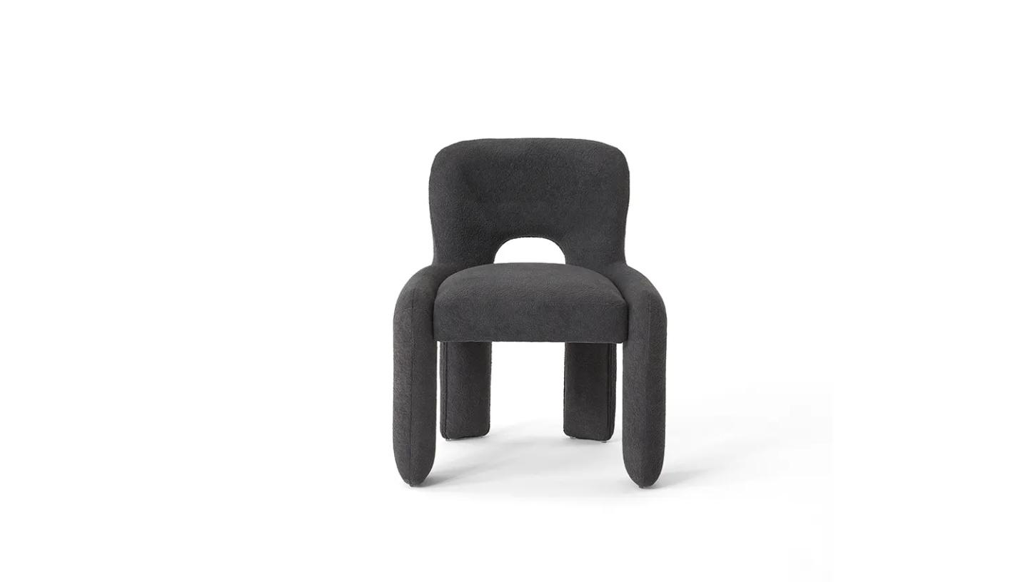 Nice Berjer - Resim 2